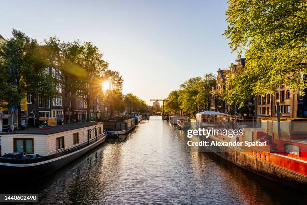 boathouses along the canal at sunset, amsterdam, netherlands - canal stock-fotos und bilder
