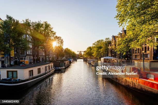 boathouses along the canal at sunset, amsterdam, netherlands - boathouse stock pictures, royalty-free photos & images