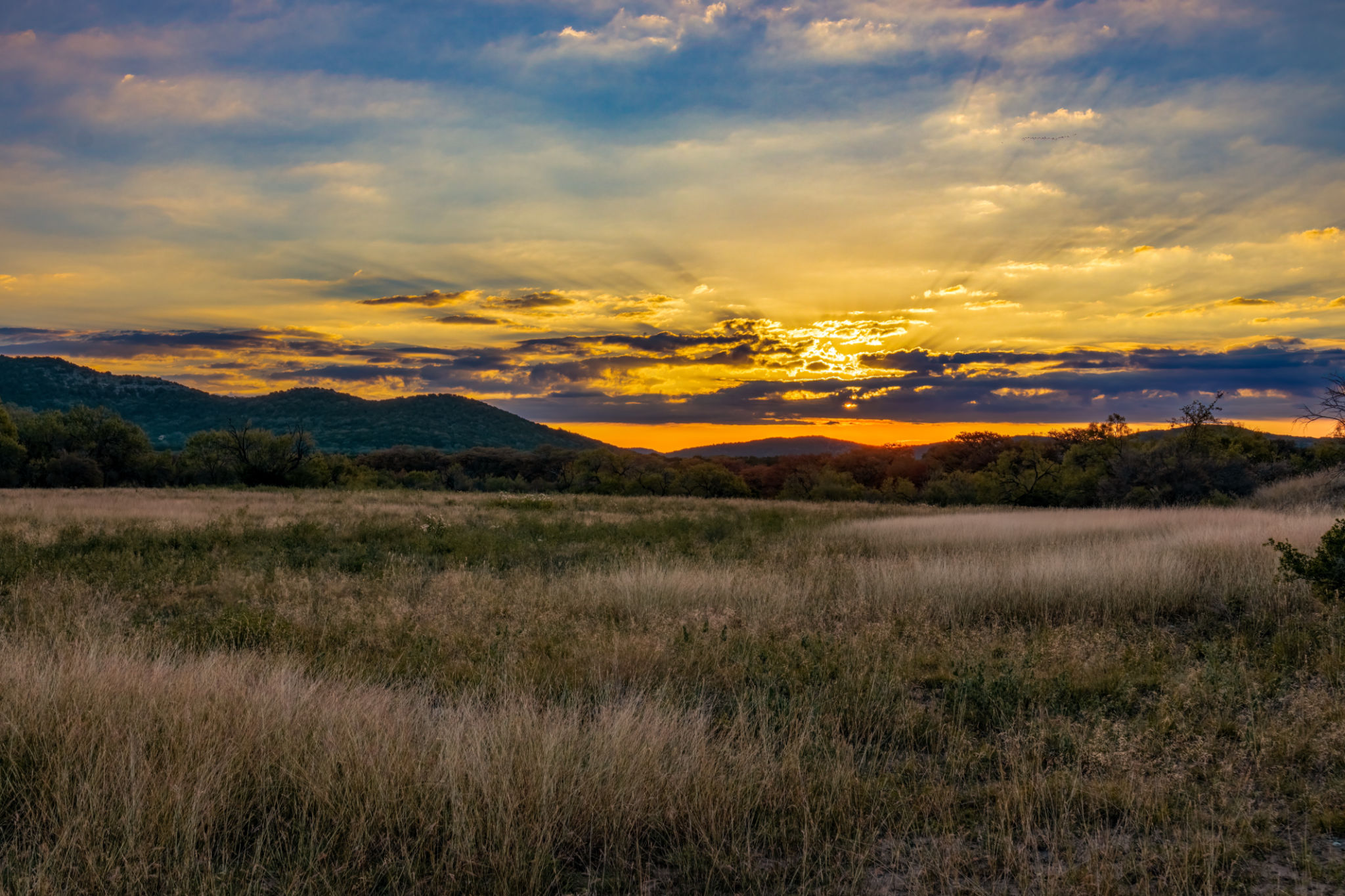 texas hill country