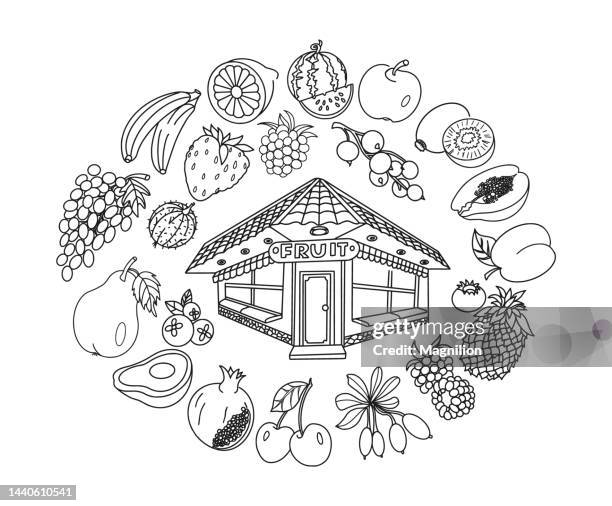 fruit shop doodles - tangerine sketch stock illustrations