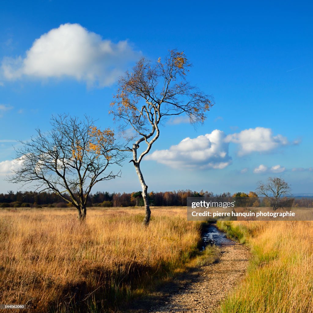 High Fens, Hautes Fagnes