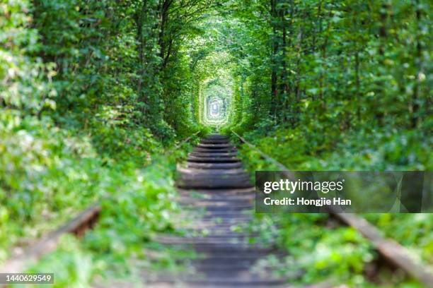 tunnel of love in ukraine - train tracks and nature foto e immagini stock