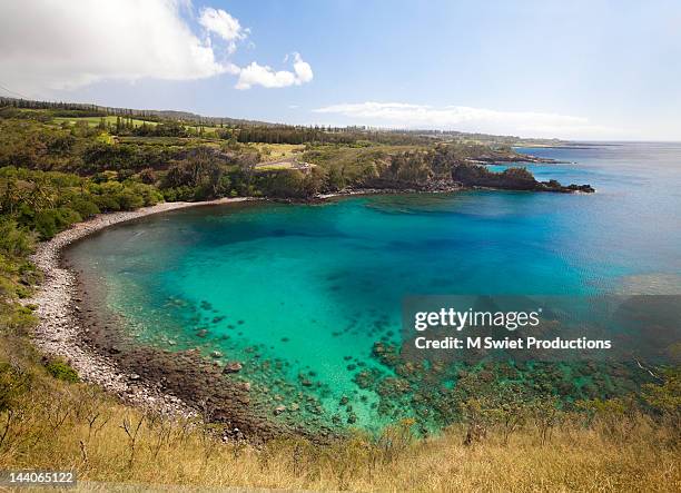 honolua bay maui - honalua bay stock pictures, royalty-free photos & images