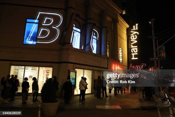 Guests line up outside The Brooklyn Silver Screen Premiere of Black Panther: Wakanda Forever, hosted by BAM at The Harvey Theater, Steinberg Screen...