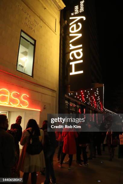 Guests line up outside The Brooklyn Silver Screen Premiere of Black Panther: Wakanda Forever, hosted by BAM at The Harvey Theater, Steinberg Screen...