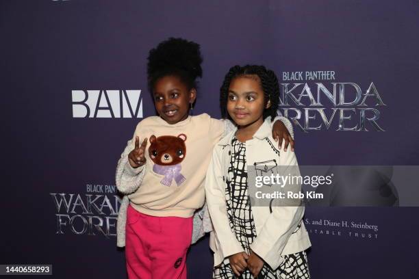 Guests attend The Brooklyn Silver Screen Premiere of Black Panther: Wakanda Forever, hosted by BAM at The Harvey Theater, Steinberg Screen on...