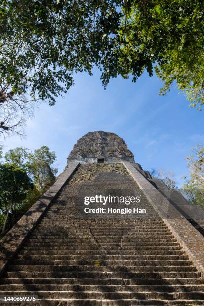 the ruins of tikalmaya, guatemala. - ancient civilisation imagens e fotografias de stock