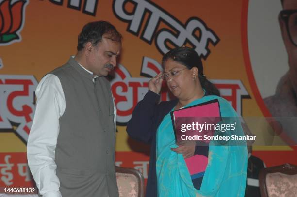 Bhartiya Janta Party Member of Parliament Anant Kumar with Rajasthan Chief Minister Vijay Raje Scindia during a party meeting in New Delhi.