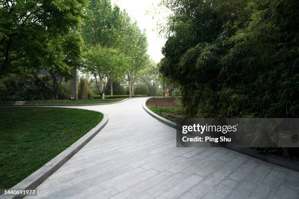 city central park -- a path paved with tiles - pedestrian walkway 個照片及圖片檔