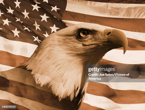 Sepia tone American bald eagle and American flag