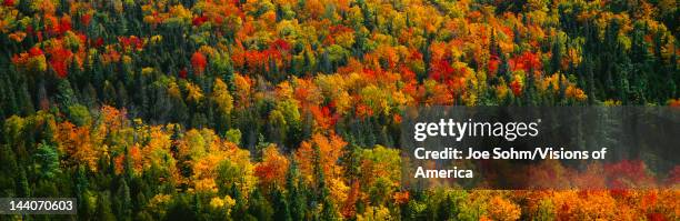 Autumn color at Porcupine State Park, Michigan's Upper Peninsula, Michigan