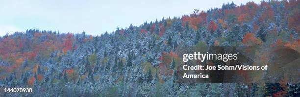 Snow and Autumn trees, Adirondack Mountains, New York State