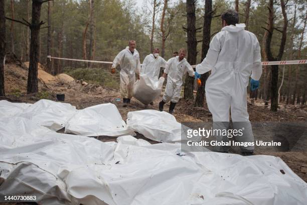 Forensic technicians carry a white body bag with exhumed body at the site of a mass burial in a forest during exhumation on September 16, 2022 in...