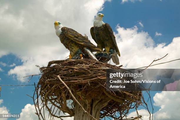 Two fake eagles and a nest on the roadside in rural Virginia