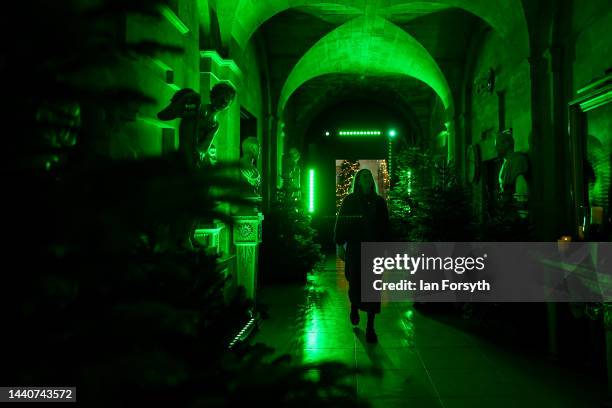 Sales and Marketing Executive Georgie Sykes, poses for pictures during a press preview as Christmas decorations go up at Castle Howard as they...