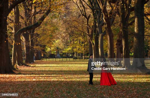 Couple has their picture taken as they walk through the American Elm trees grove in Central Park as the sun rises on November 10 in New York City.