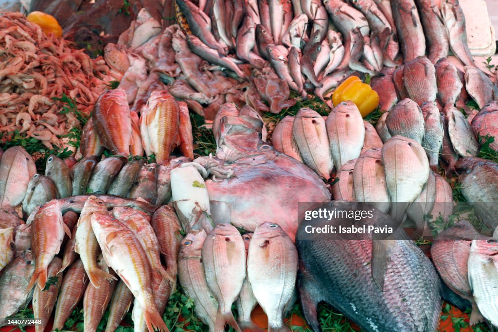 Full Frame Shot Of Fish For Sale In Market