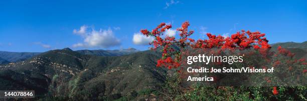 Topa Background 76 Topa Topa Mountains Stock Photos, High-Res Pictures, and Images ...