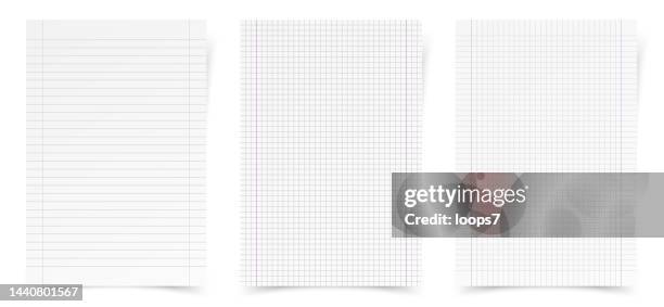 Long Math Pages Math Lined Paper Pages Vector Realistic Illustration High-Res Vector ...