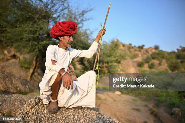 portrait of a senior rabari shepherd man, sitting with his guarding stick on a rock - nomad cattle herder from rajasthan stock-fotos und bilder