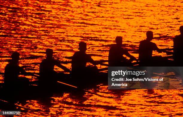 Silhouetted rowing crew on the Charles River, Cambridge, Massachusetts