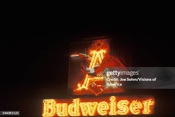 Neon sign that reads "Budweiser"
