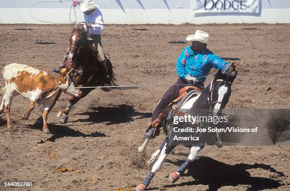Spain Roc Roi Rodeo Team roping event, Old Spanish Days, Fiesta Rodeo and Stock Horse ...