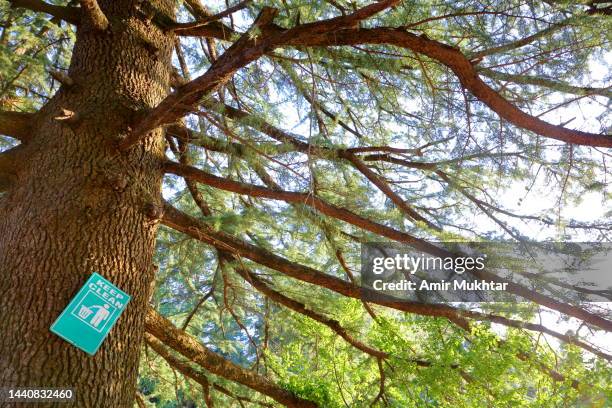 Clean Tree Sign 304 Keep Clean Signs Stock Photos, High-Res Pictures, and Images ...