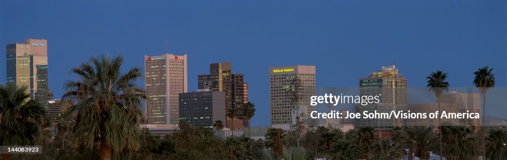 This is the skyline at dusk with palm trees surrounding the city.