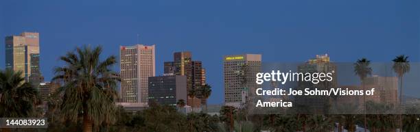 This is the skyline at dusk with palm trees surrounding the city.