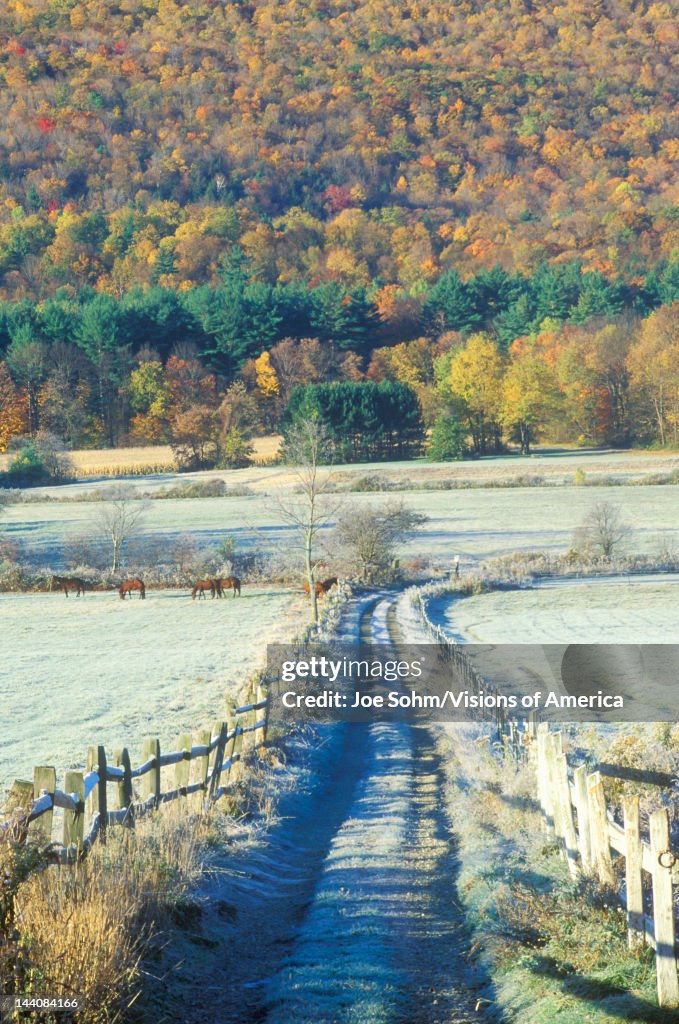 A dirt road with morning autumn frost in Tyringham, Massachusetts