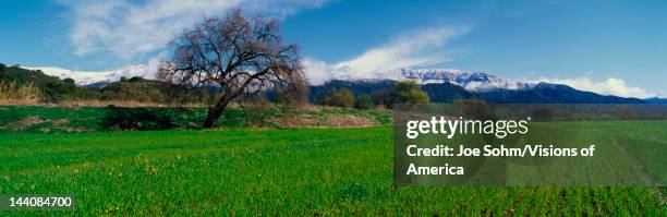 Topa Background 76 Topa Topa Mountains Stock Photos, High-Res Pictures, and Images ...