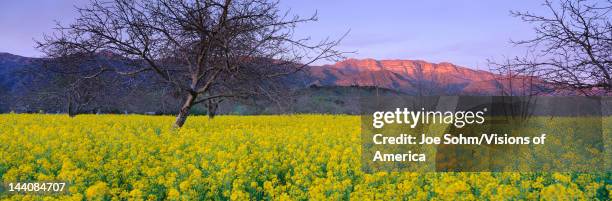 Topa Background Topa Topa Mountains Photos and Premium High Res Pictures - Getty Images
