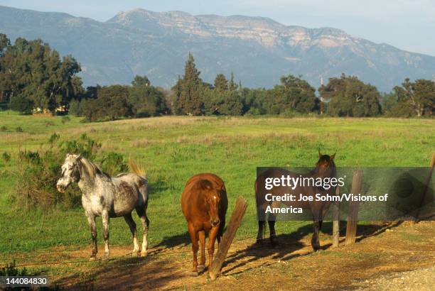 Topa Background 76 Topa Topa Mountains Stock Photos, High-Res Pictures, and Images ...