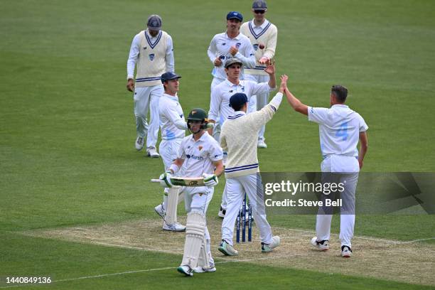 Chris Tremain of the Blues celebrates the wicket of Tim Ward of the Tigers during the Sheffield Shield match between Tasmania and New South Wales at...