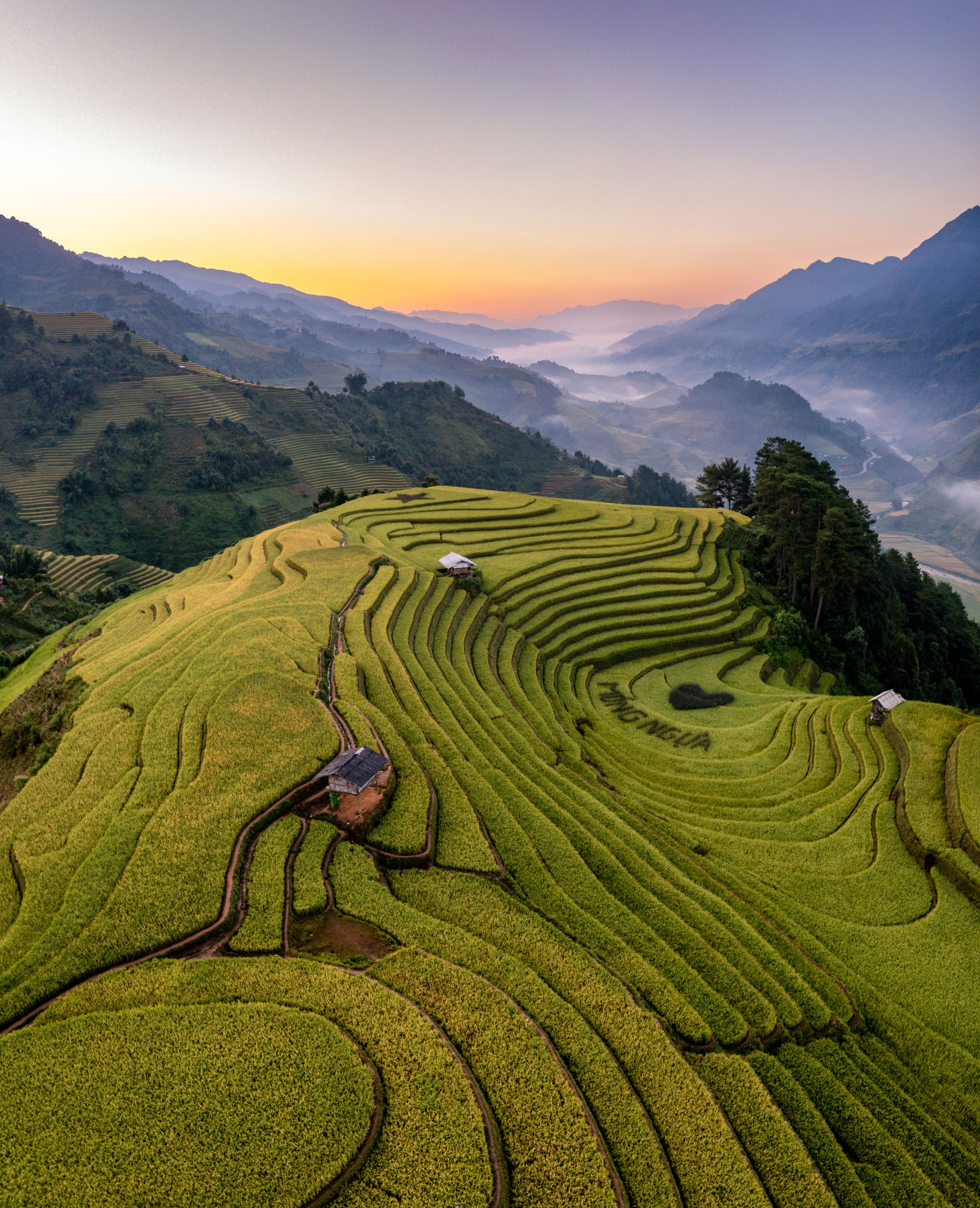 Rice fields on terraced prepare the harvest at Northwest Vietnam. Rice fields on terraced prepare the harvest at Northwest Vietnam.