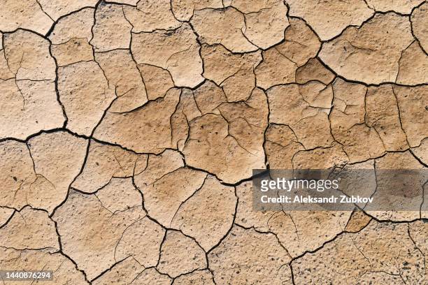 the frozen surface of the earth. barren, cracked and scorched earth and soil. the concept of global warming. textured background. - 地割れ ストックフォトと画像