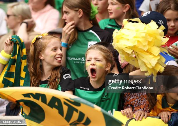 Fans cheer during the International friendly match between the Australia Matildas and Sweden at AAMI Park on November 12, 2022 in Melbourne,...