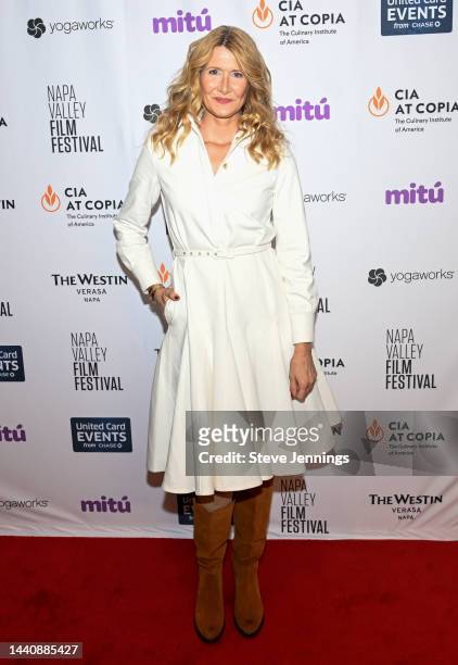 Lamborghini: The Man Behind the Legend" honoree Laura Dern attends the Napa Valley Film Festival's NVFF 2022 Film, Food and Wine showcase at The...