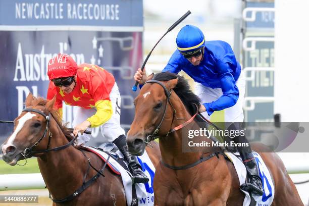 Nash Rawiller on Vilana wins race 8 The Hunter during Racing at Newcastle Racecourse on November 12, 2022 in Newcastle, Australia.