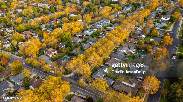 san jose neighborhood - san jose bildbanksfoton och bilder