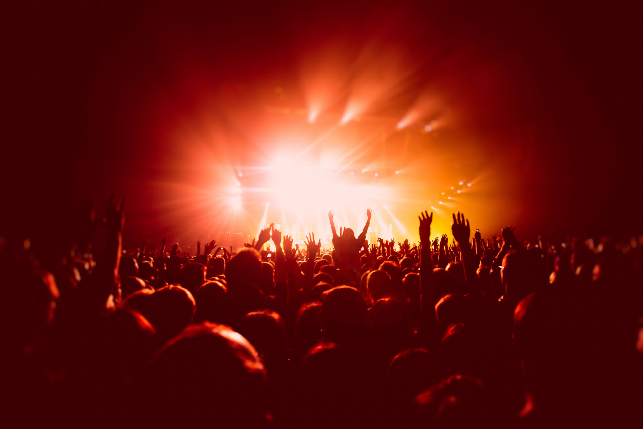 party crowd