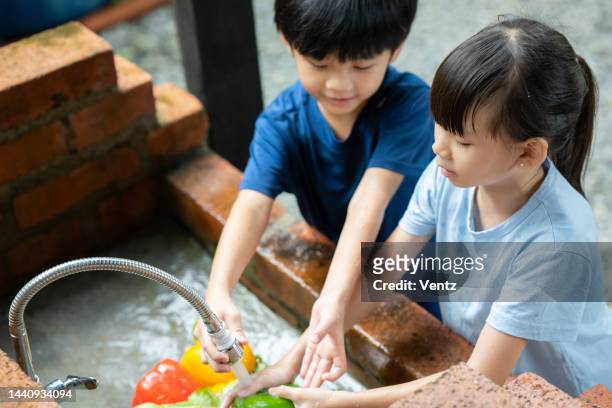 washing vegetables - child washing hands stock pictures, royalty-free photos & images