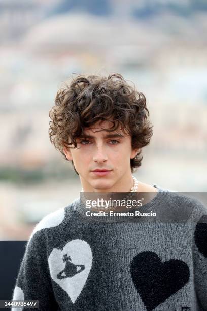 Timothée Chalamet attends the "Bones And All" photocall at Hotel De La Ville on November 12, 2022 in Rome, Italy.