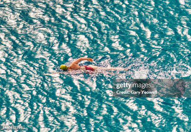 elevated view of a woman swimming in the sea - crawl stockfoto's en -beelden