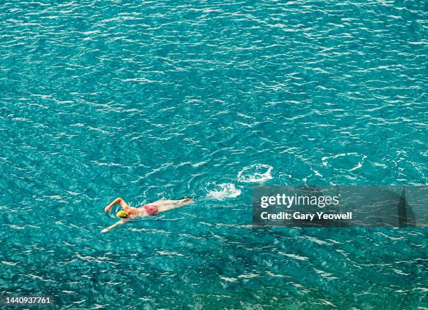 elevated view of a woman swimming in the sea - open water swimming stock pictures, royalty-free photos & images