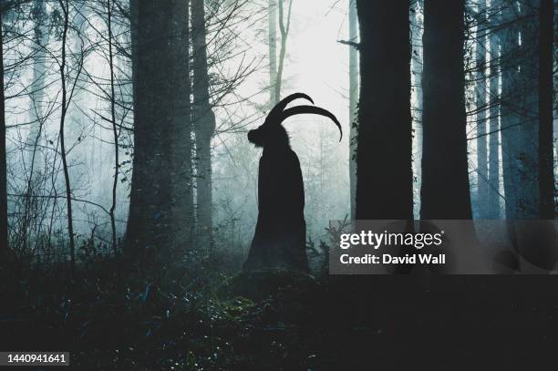 a fantasy concept of a pagan horned goat like figure. silhouetted against the light. in a spooky forest in winter. with a textured edit. - demon stock-fotos und bilder