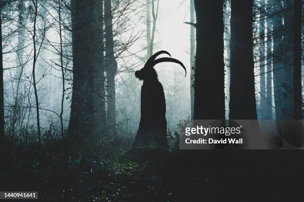a fantasy concept of a pagan horned goat like figure. silhouetted against the light. in a spooky forest in winter. with a textured edit. - paganismo - fotografias e filmes do acervo