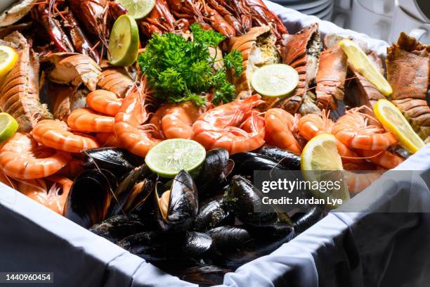 close up of seafood in plate - crustacean stock pictures, royalty-free photos & images