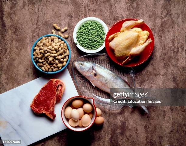 Still Life Of Protein Foods.